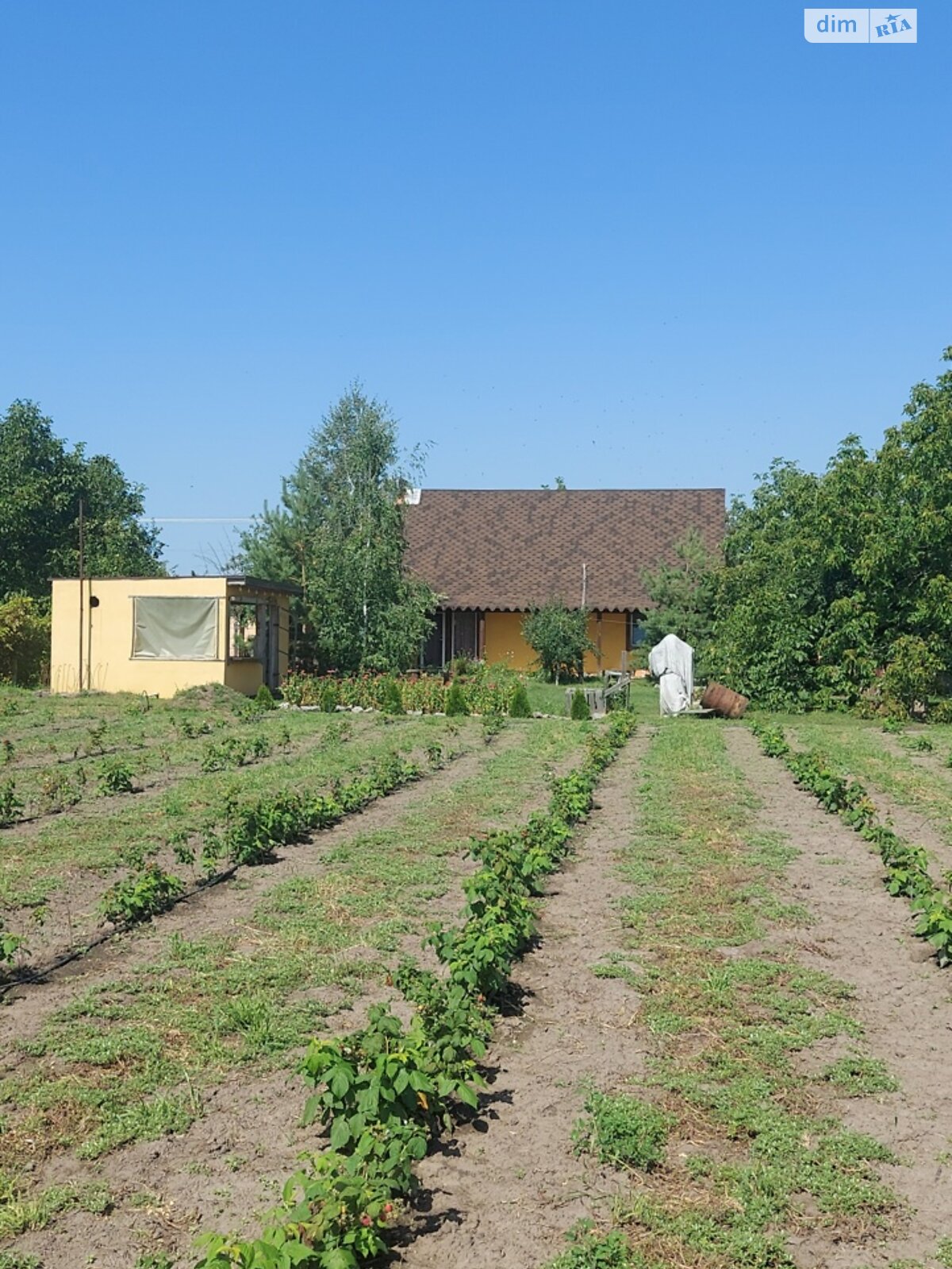 двухэтажный дом с отоплением, 120 кв. м, кирпич саманный. Продажа в Градижске фото 1 двухэтажный дом с отоплением, 120 кв. м, кирпич саманный. Продажа в Градижске фото 1