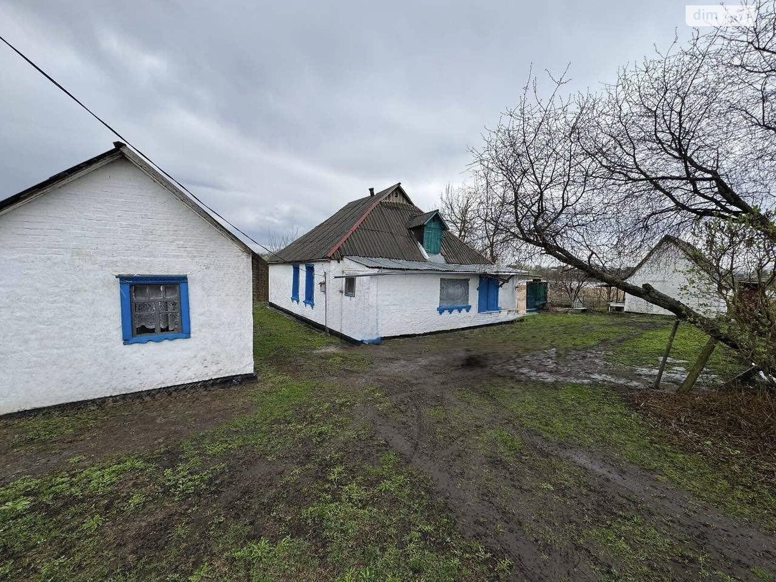 одноповерховий будинок, 63.3 кв. м, шлакоблок. Продаж у Гребінках фото 1 одноповерховий будинок, 63.3 кв. м, шлакоблок. Продаж у Гребінках фото 1