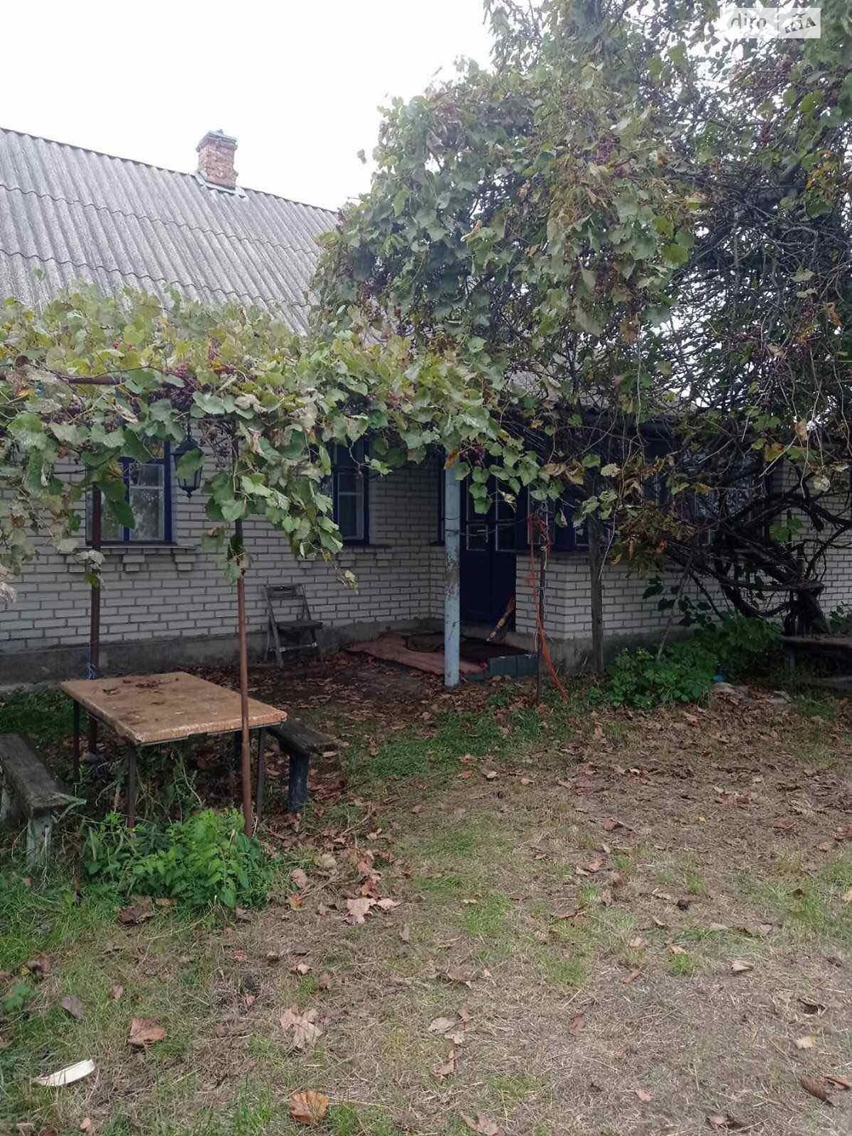 одноповерховий будинок з верандою, 74.1 кв. м, цегла. Продаж у Гребінках фото 1 одноповерховий будинок з верандою, 74.1 кв. м, цегла. Продаж у Гребінках фото 1