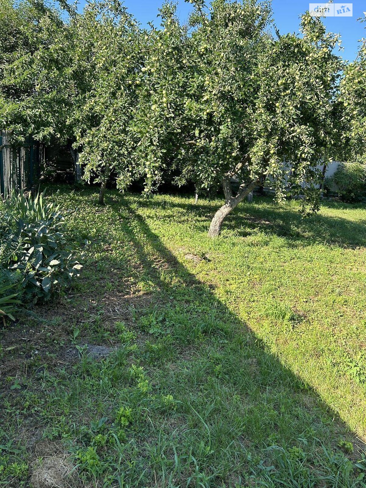 одноэтажный дом, 64 кв. м, брус. Продажа в Гребенках фото 1 одноэтажный дом, 64 кв. м, брус. Продажа в Гребенках фото 1