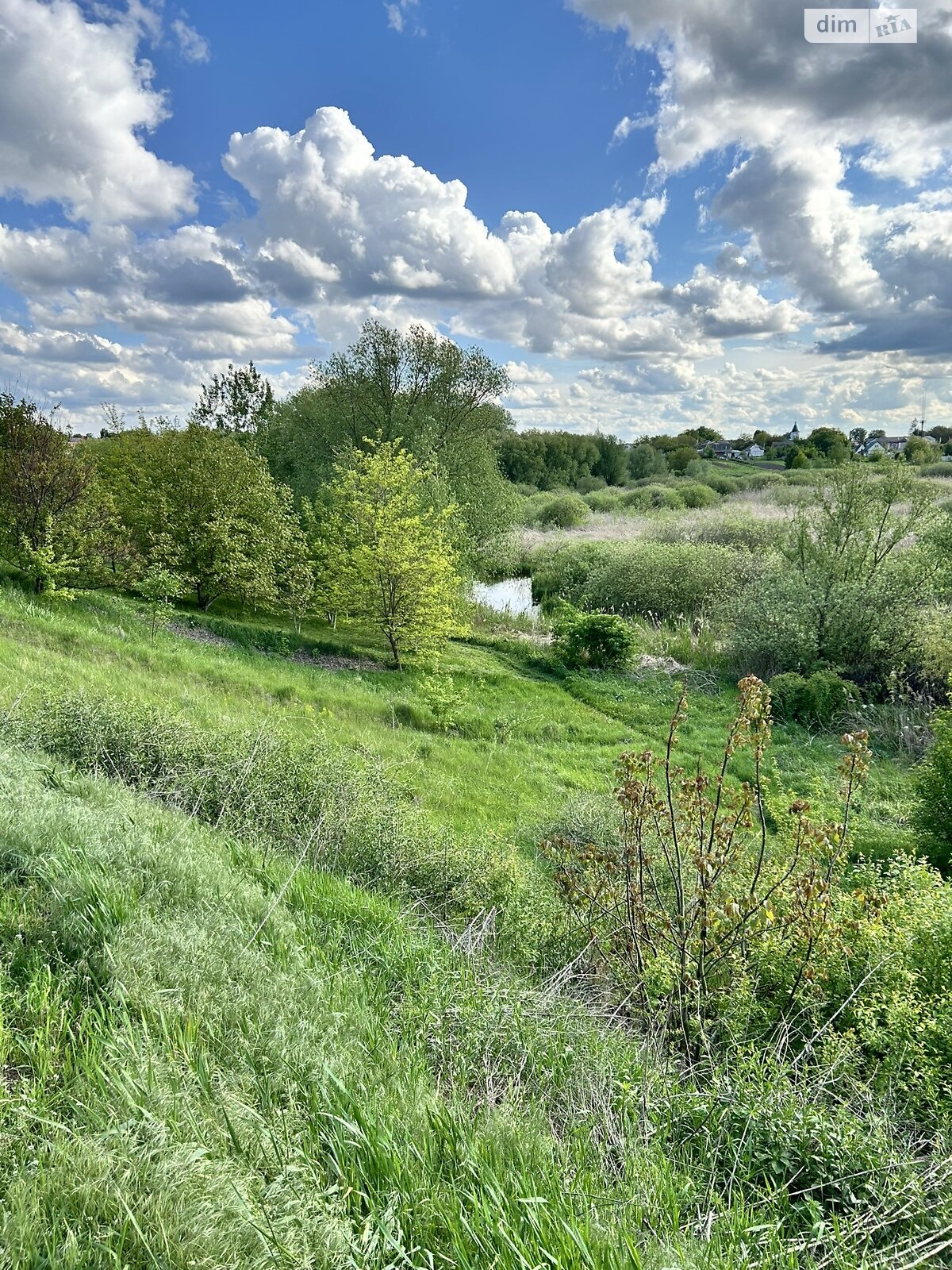 одноповерховий будинок з гаражем, 97 кв. м, цегла. Продаж у Гребінках фото 1 одноповерховий будинок з гаражем, 97 кв. м, цегла. Продаж у Гребінках фото 1