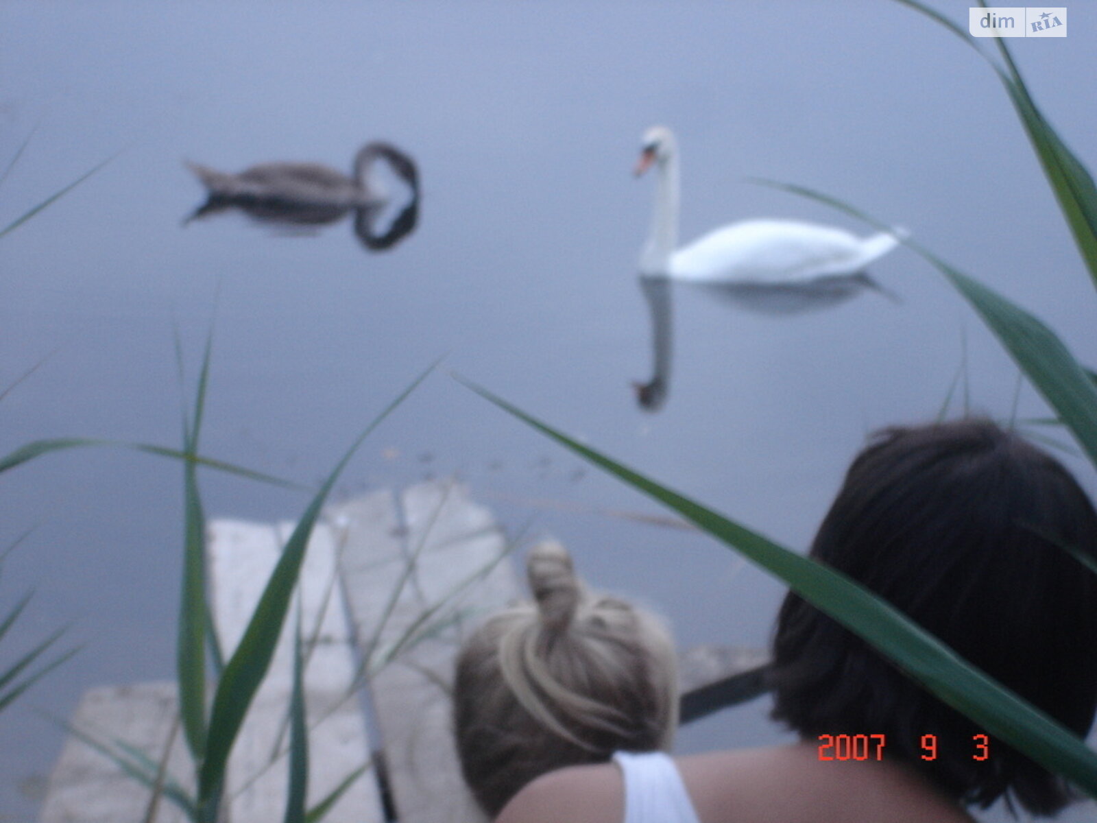 двухэтажный дом, 370 кв. м, кирпич. Продажа в Грибовке фото 1 двухэтажный дом, 370 кв. м, кирпич. Продажа в Грибовке фото 1