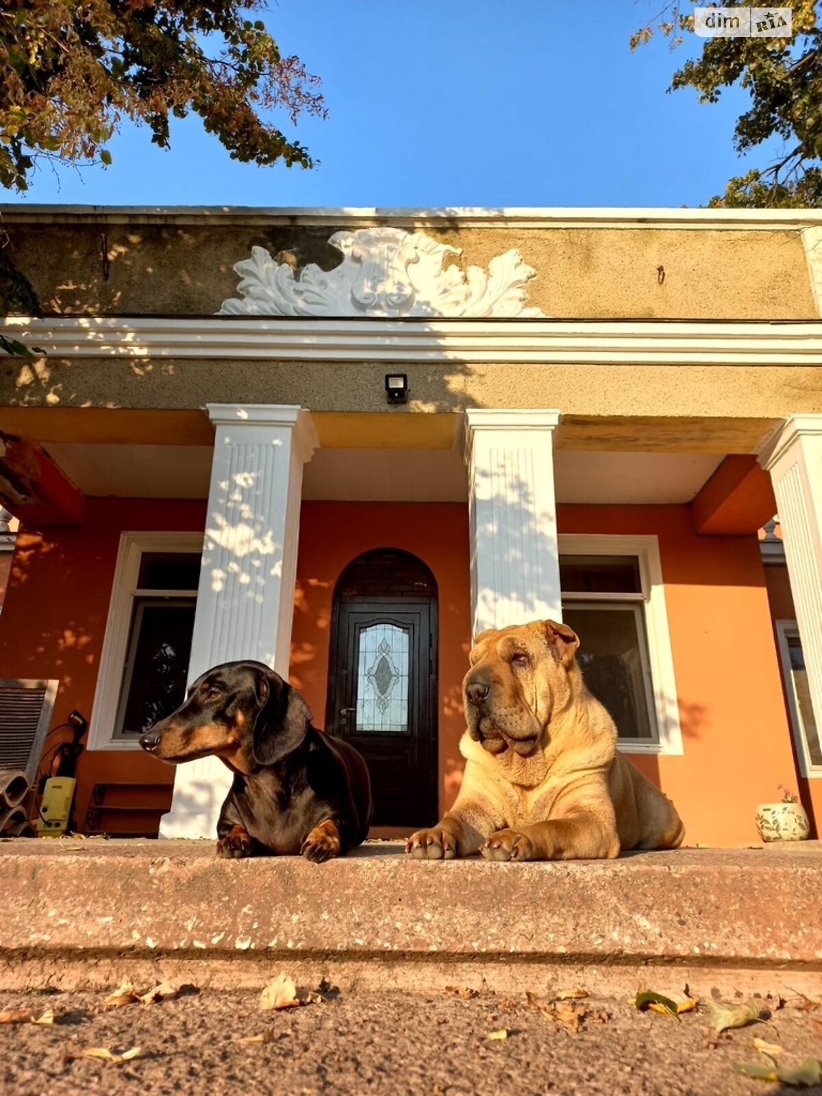 двухэтажный дом, 370 кв. м, кирпич. Продажа в Грибовке фото 1 двухэтажный дом, 370 кв. м, кирпич. Продажа в Грибовке фото 1