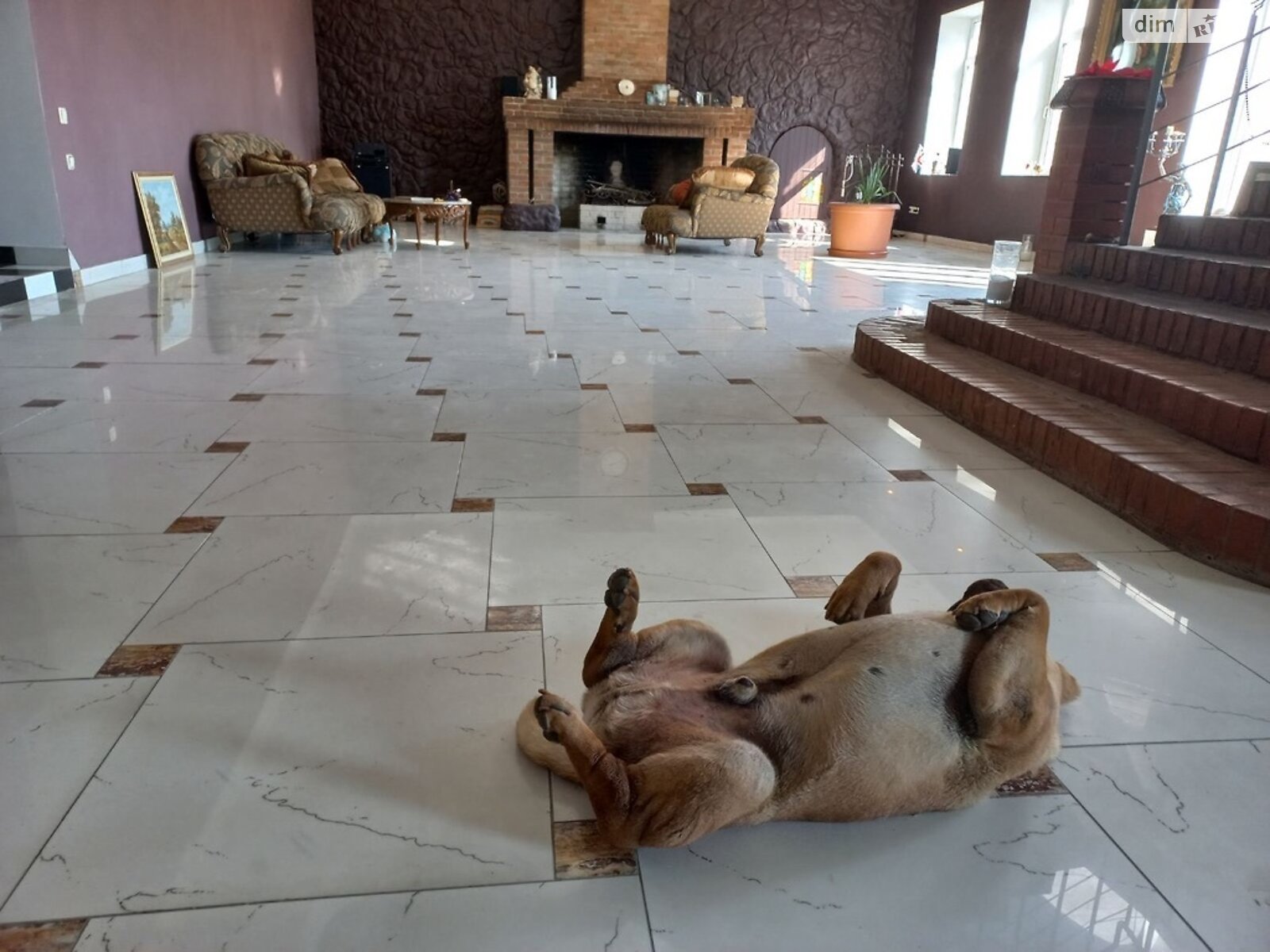 двухэтажный дом, 370 кв. м, кирпич. Продажа в Грибовке фото 1 двухэтажный дом, 370 кв. м, кирпич. Продажа в Грибовке фото 1