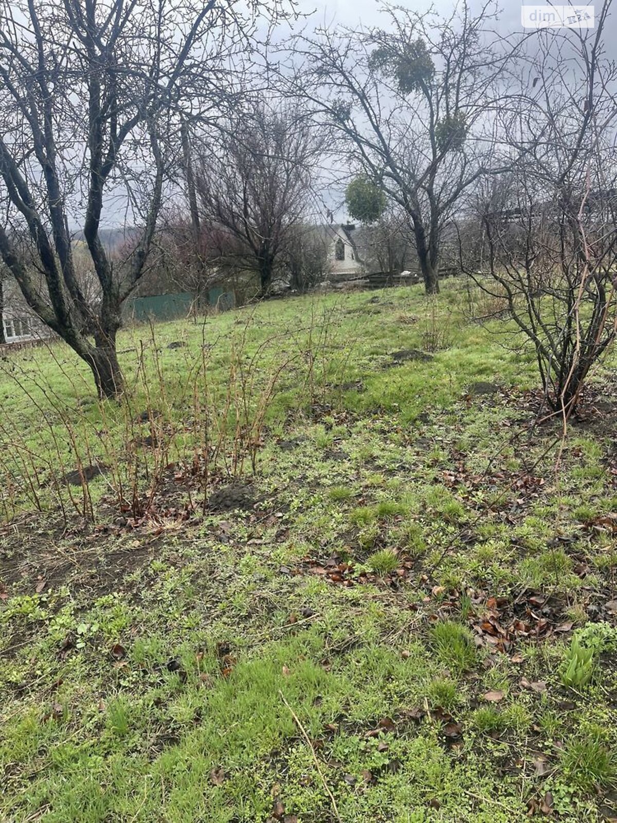 двоповерховий будинок з гаражем, 253 кв. м, цегла. Продаж у Григорівці фото 1 двоповерховий будинок з гаражем, 253 кв. м, цегла. Продаж у Григорівці фото 1
