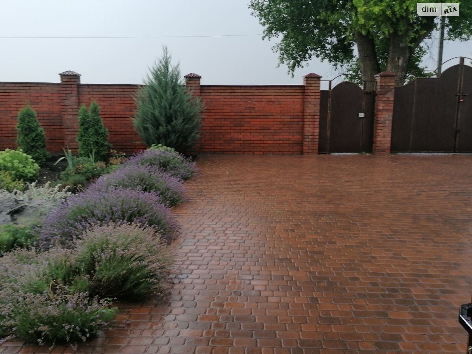 двоповерховий будинок з верандою, 256 кв. м, цегла. Продаж у Грузевиці фото 1