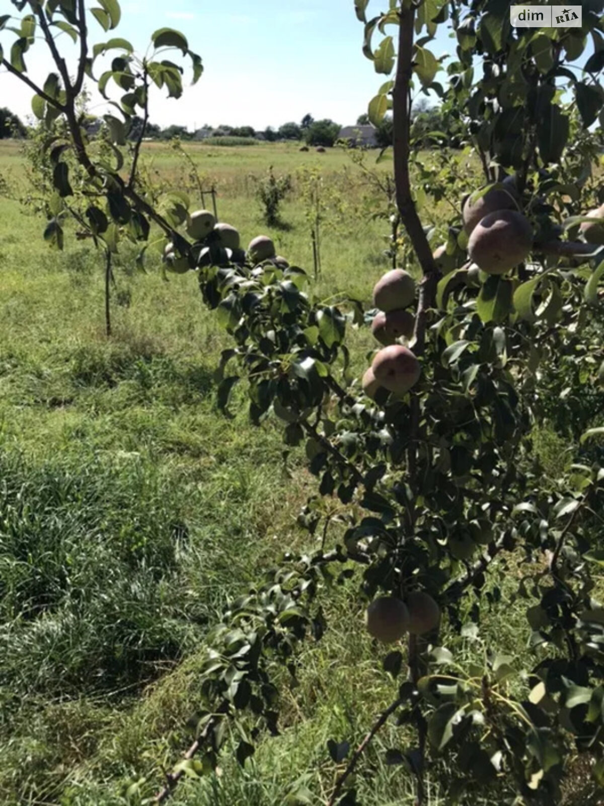 двухэтажный дом с гаражом, 120 кв. м, кирпич. Продажа в Гульске фото 1 двухэтажный дом с гаражом, 120 кв. м, кирпич. Продажа в Гульске фото 1