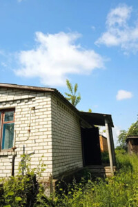 одноповерховий будинок, 80 кв. м, цегла. Продаж у Гульську фото 2 одноповерховий будинок, 80 кв. м, цегла. Продаж у Гульську фото 2