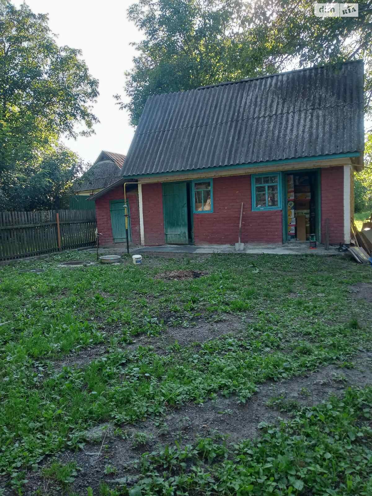 одноповерховий будинок, 49.9 кв. м, цегла. Продаж у Гуньці фото 1