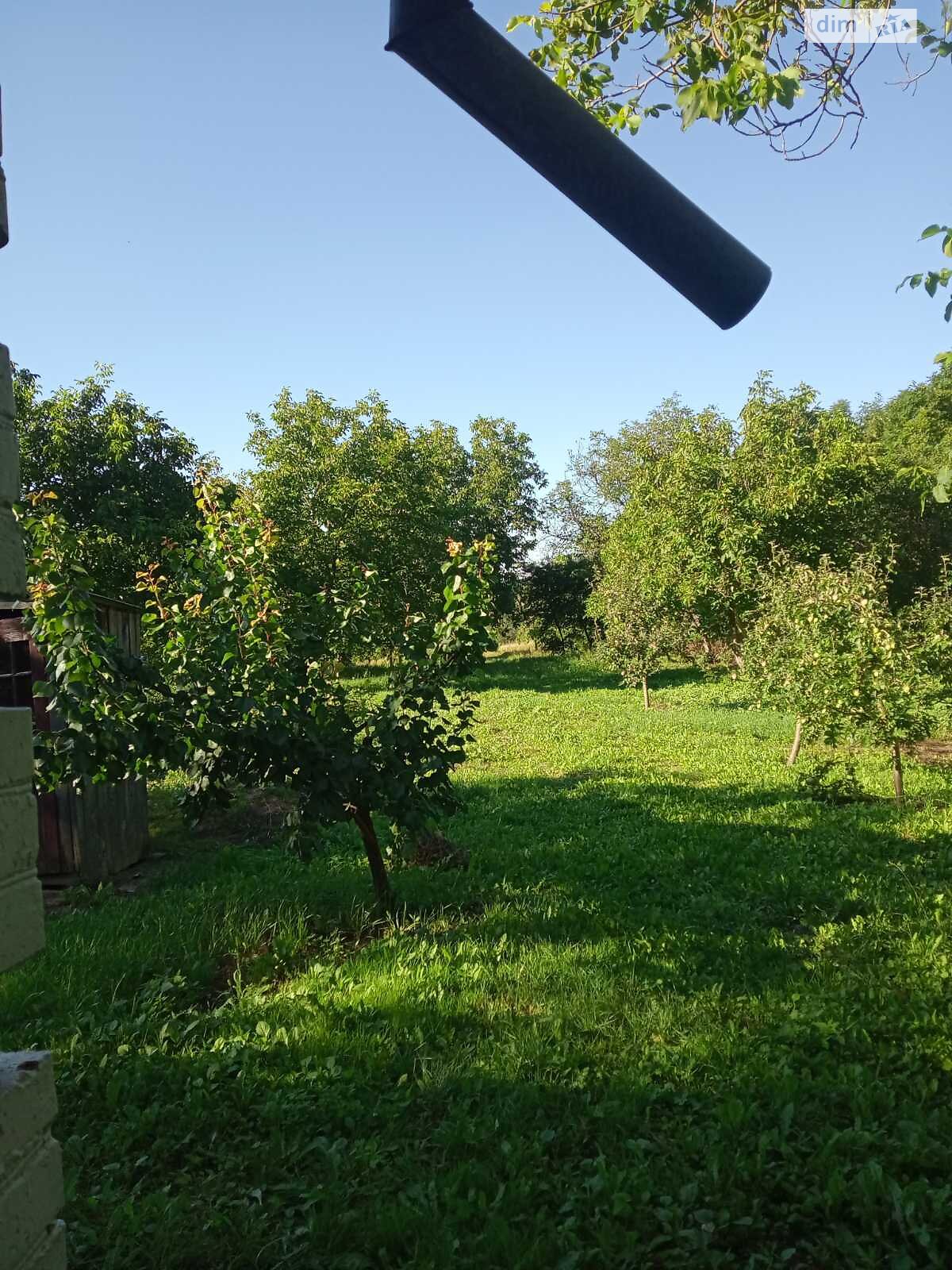 одноповерховий будинок, 49.9 кв. м, цегла. Продаж у Гуньці фото 1