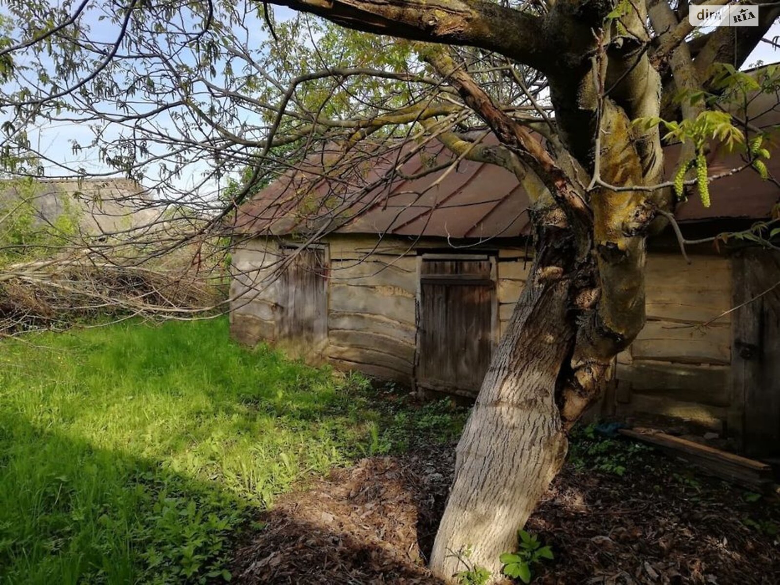 одноэтажный дом, 56 кв. м, сруб. Продажа в Гусавке фото 1 одноэтажный дом, 56 кв. м, сруб. Продажа в Гусавке фото 1