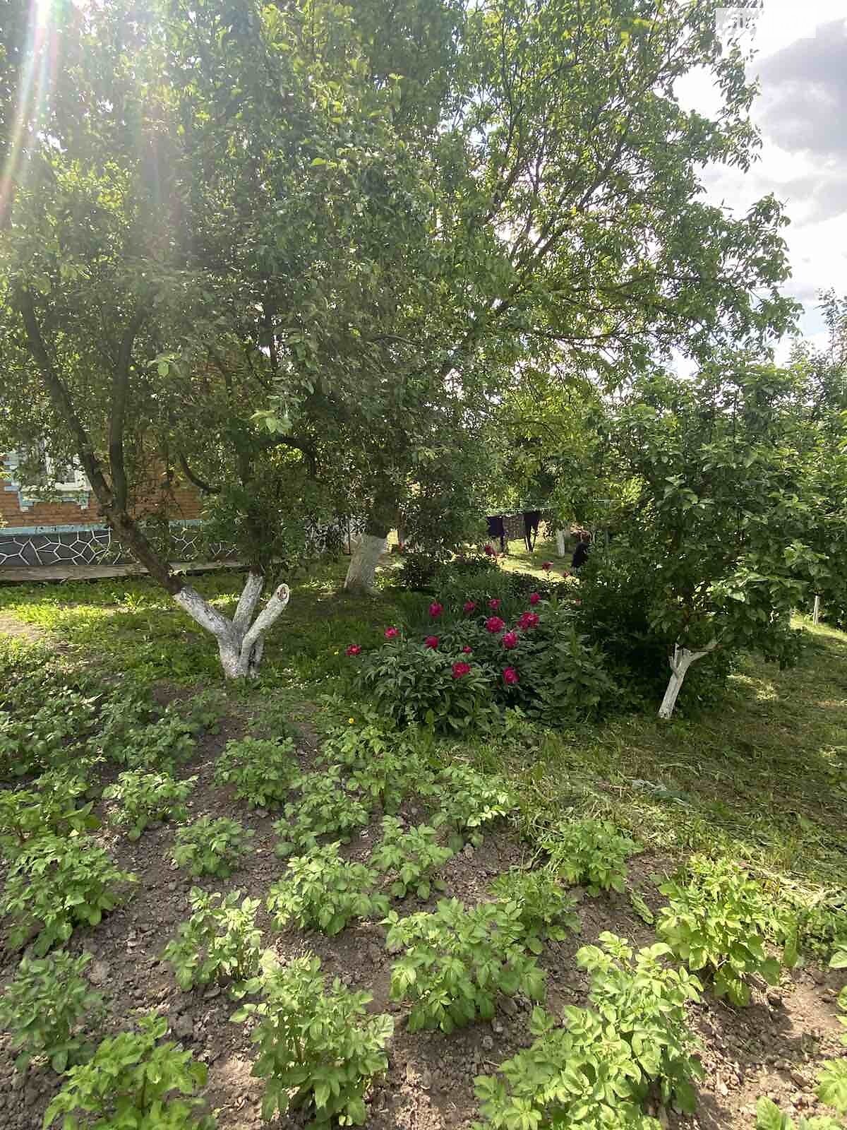 одноповерховий будинок з гаражем, 107 кв. м, цегла. Продаж у Гвардійському фото 1 одноповерховий будинок з гаражем, 107 кв. м, цегла. Продаж у Гвардійському фото 1