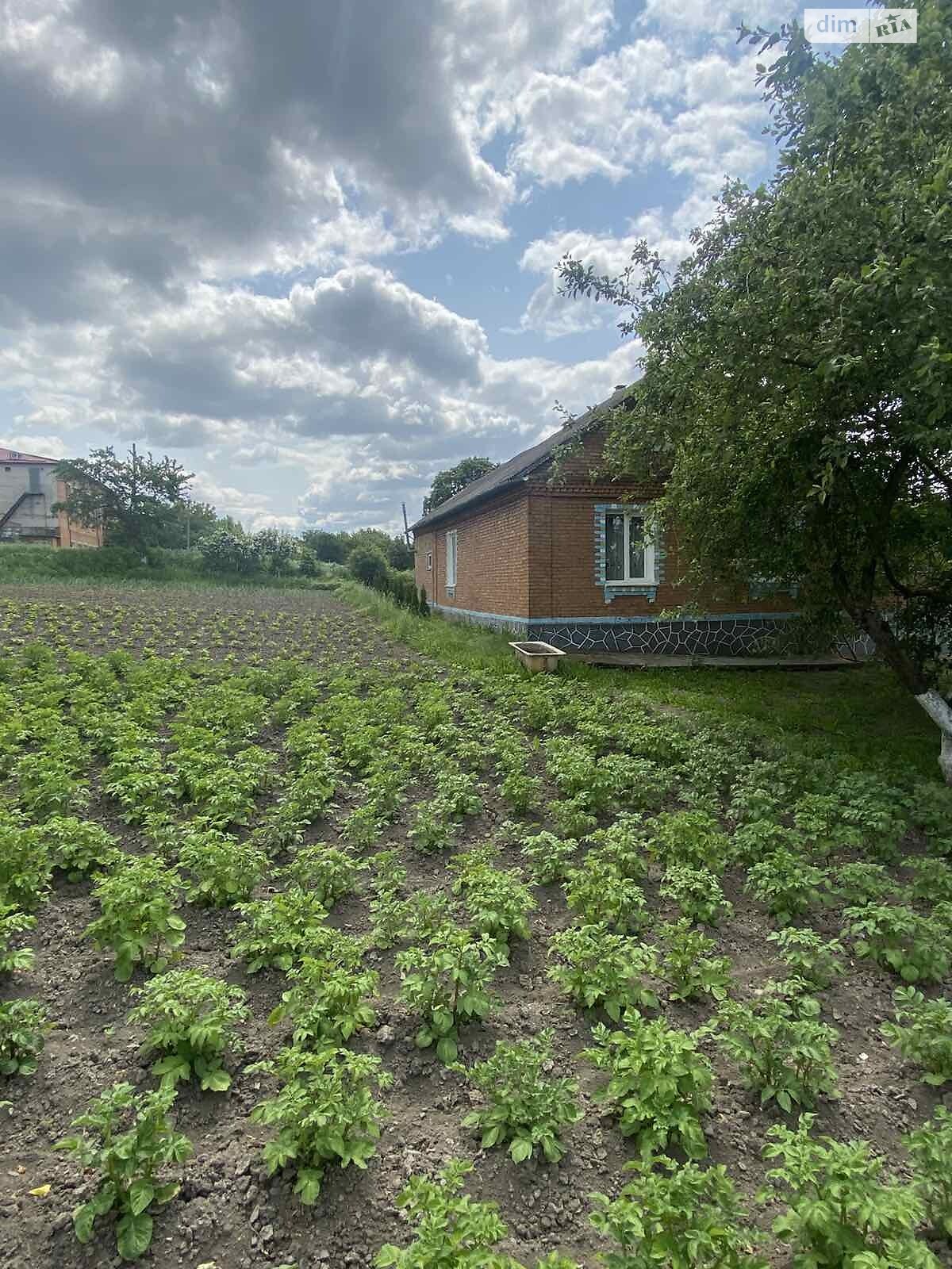 одноповерховий будинок з гаражем, 107 кв. м, цегла. Продаж у Гвардійському фото 1 одноповерховий будинок з гаражем, 107 кв. м, цегла. Продаж у Гвардійському фото 1