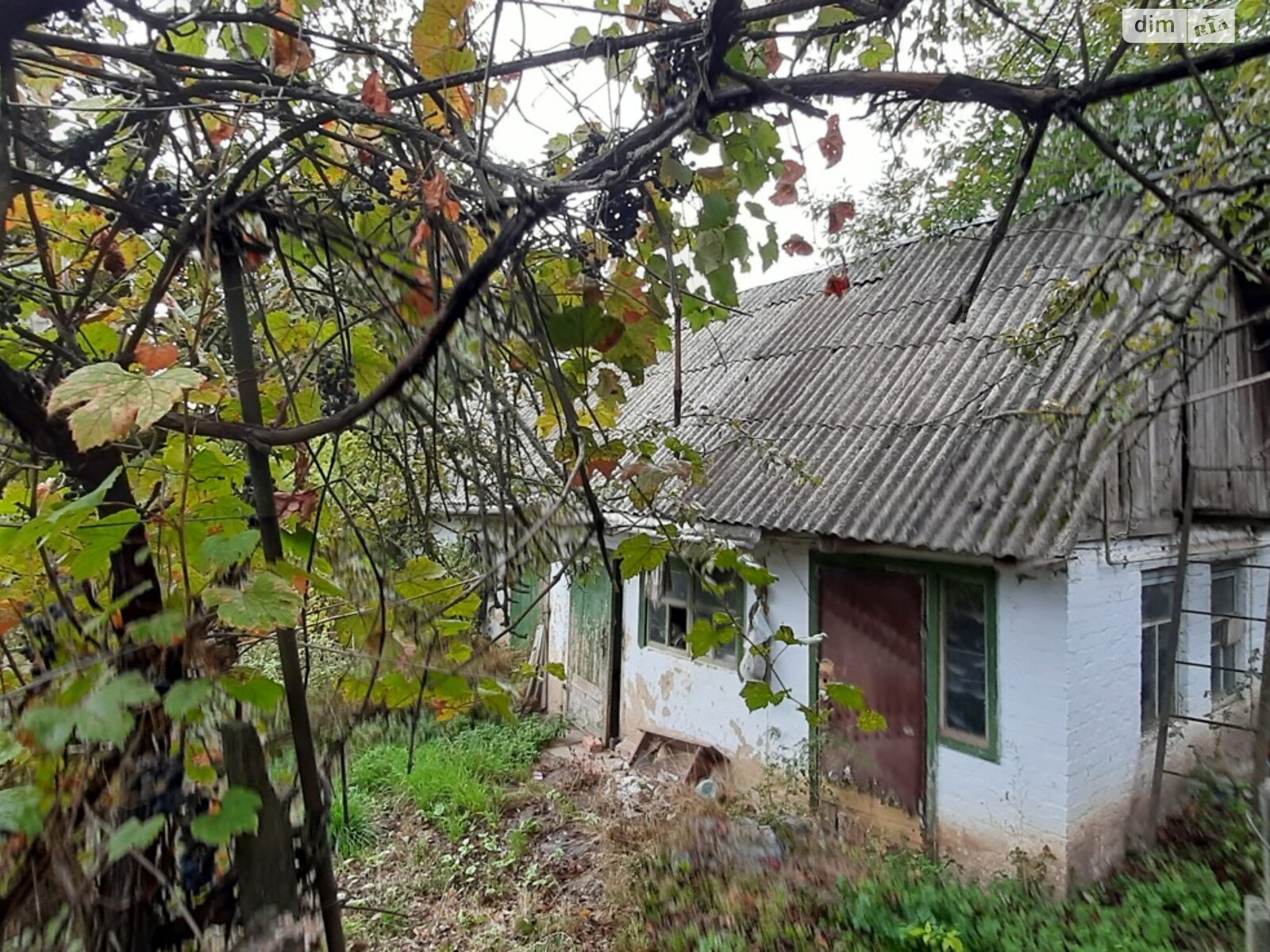 одноэтажный дом, 68.7 кв. м, кирпич. Продажа в Халче фото 1 одноэтажный дом, 68.7 кв. м, кирпич. Продажа в Халче фото 1