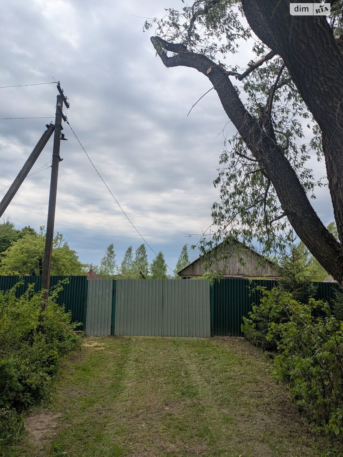 одноповерховий будинок з опаленням, 24 кв. м, цегла. Продаж у Халявиному фото 1 одноповерховий будинок з опаленням, 24 кв. м, цегла. Продаж у Халявиному фото 1