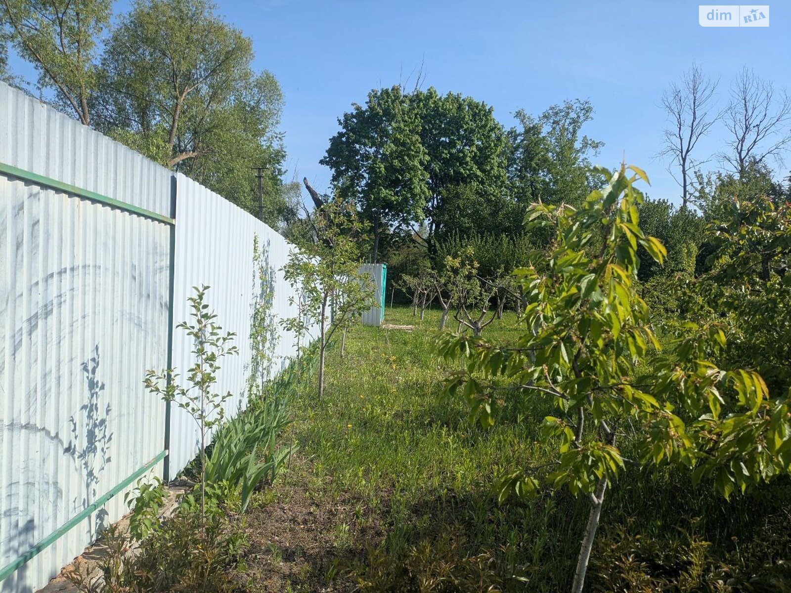 одноповерховий будинок з опаленням, 24 кв. м, цегла. Продаж у Халявиному фото 1 одноповерховий будинок з опаленням, 24 кв. м, цегла. Продаж у Халявиному фото 1