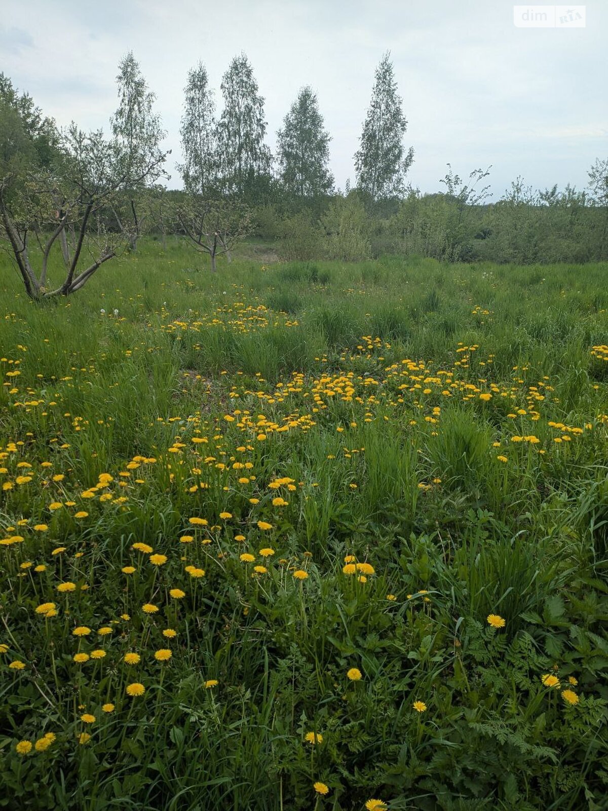 одноповерховий будинок з опаленням, 24 кв. м, цегла. Продаж у Халявиному фото 1 одноповерховий будинок з опаленням, 24 кв. м, цегла. Продаж у Халявиному фото 1