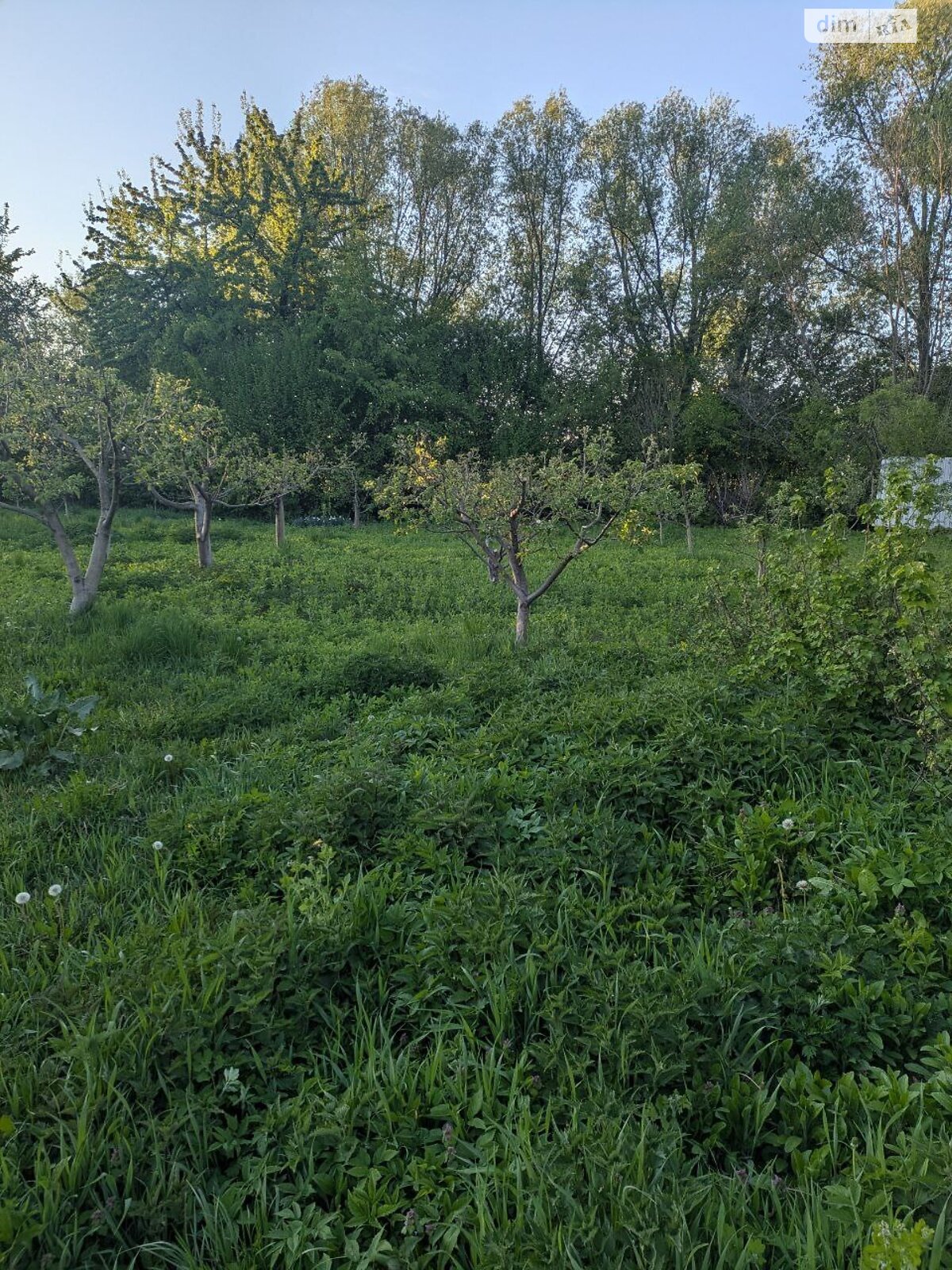 одноповерховий будинок з опаленням, 24 кв. м, цегла. Продаж у Халявиному фото 1 одноповерховий будинок з опаленням, 24 кв. м, цегла. Продаж у Халявиному фото 1