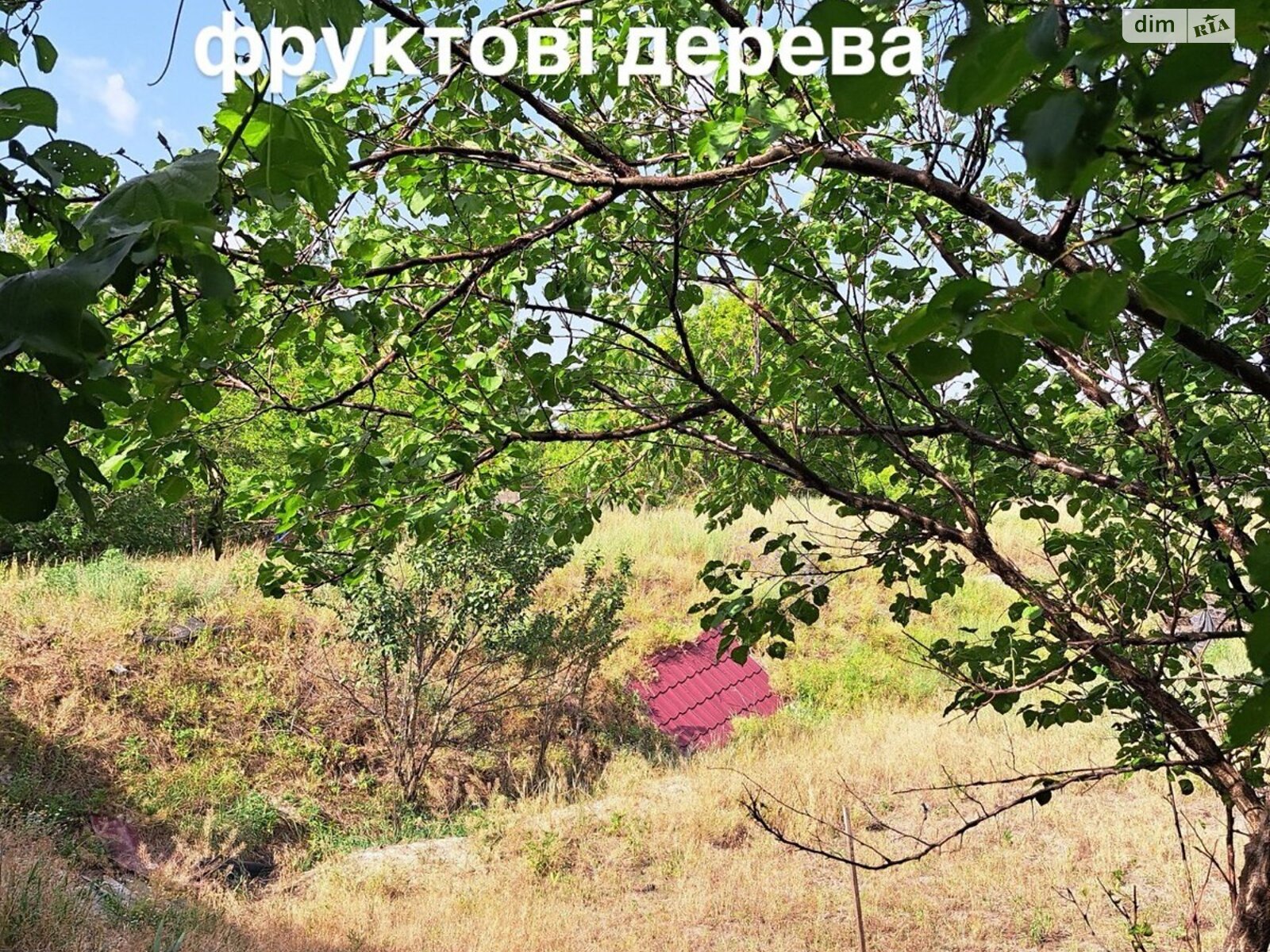 одноэтажный дом с верандой, 70 кв. м, кирпич. Продажа в Харькове район Жихор фото 1 одноэтажный дом с верандой, 70 кв. м, кирпич. Продажа в Харькове район Жихор фото 1