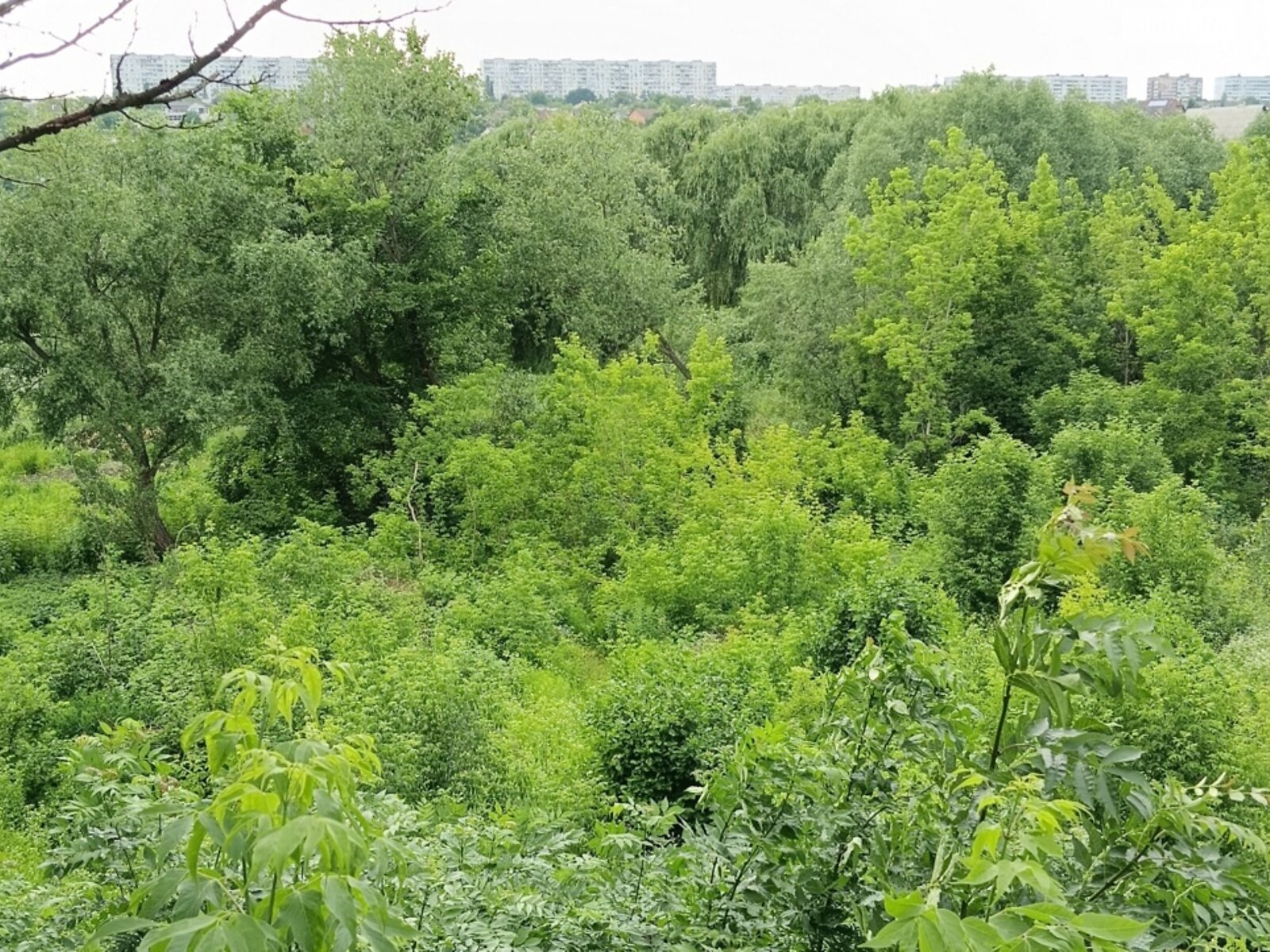 одноповерховий будинок, 50.1 кв. м, дерево та цегла. Продаж в Харкові, район Київський фото 1 одноповерховий будинок, 50.1 кв. м, дерево та цегла. Продаж в Харкові, район Київський фото 1