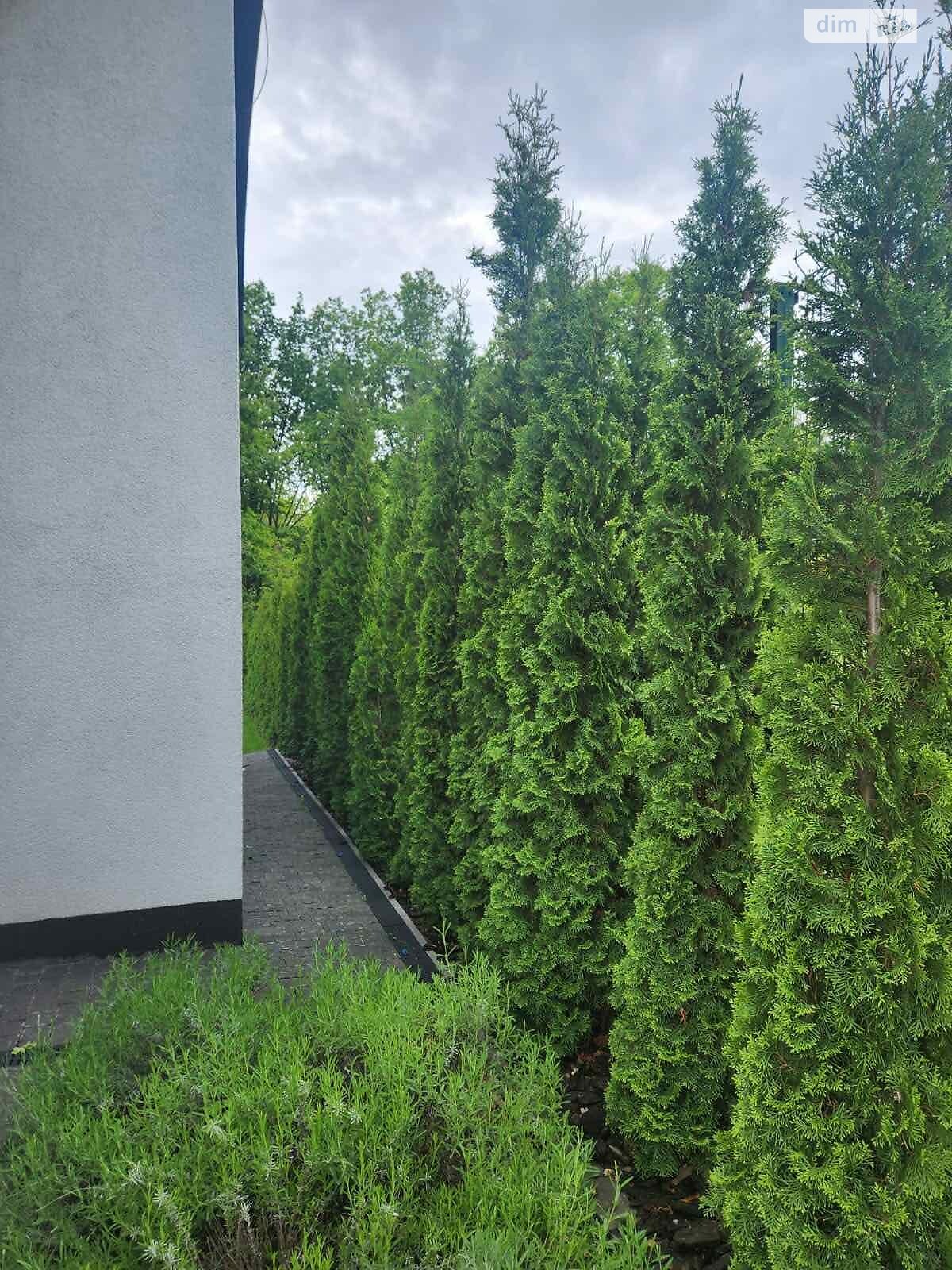 двухэтажный дом с верандой, 230 кв. м, пеноблок. Продажа в Харькове район Киевский фото 1 двухэтажный дом с верандой, 230 кв. м, пеноблок. Продажа в Харькове район Киевский фото 1