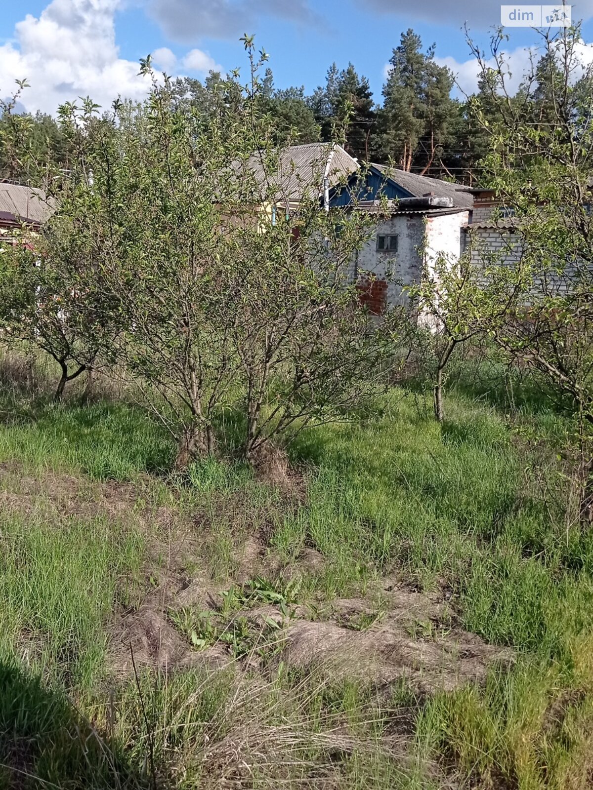 одноэтажный дом, 79.3 кв. м, кирпич. Продажа в Харькове район Основянский фото 1 одноэтажный дом, 79.3 кв. м, кирпич. Продажа в Харькове район Основянский фото 1