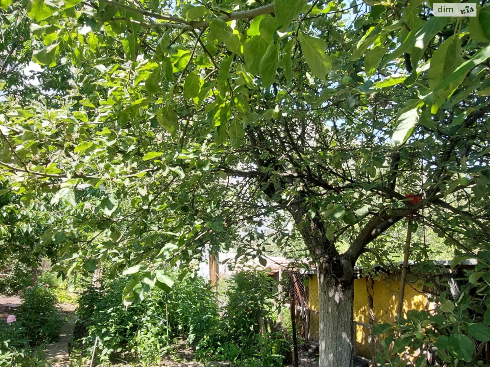 одноповерховий будинок з верандою, 72 кв. м, кирпич. Продаж в Харкові, район Київський фото 1 одноповерховий будинок з верандою, 72 кв. м, кирпич. Продаж в Харкові, район Київський фото 1