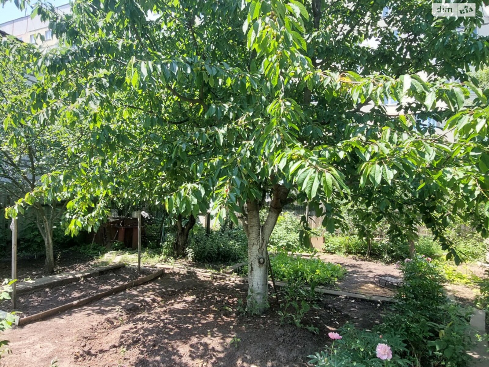 одноповерховий будинок з верандою, 72 кв. м, кирпич. Продаж в Харкові, район Київський фото 1 одноповерховий будинок з верандою, 72 кв. м, кирпич. Продаж в Харкові, район Київський фото 1