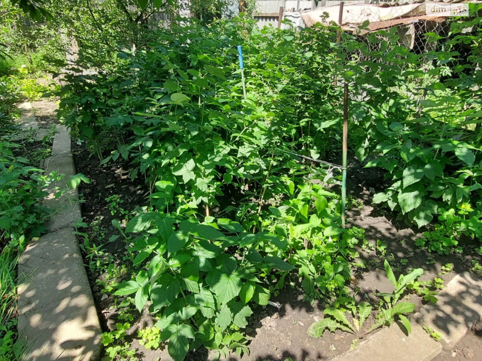 одноповерховий будинок з верандою, 72 кв. м, кирпич. Продаж в Харкові, район Київський фото 1 одноповерховий будинок з верандою, 72 кв. м, кирпич. Продаж в Харкові, район Київський фото 1