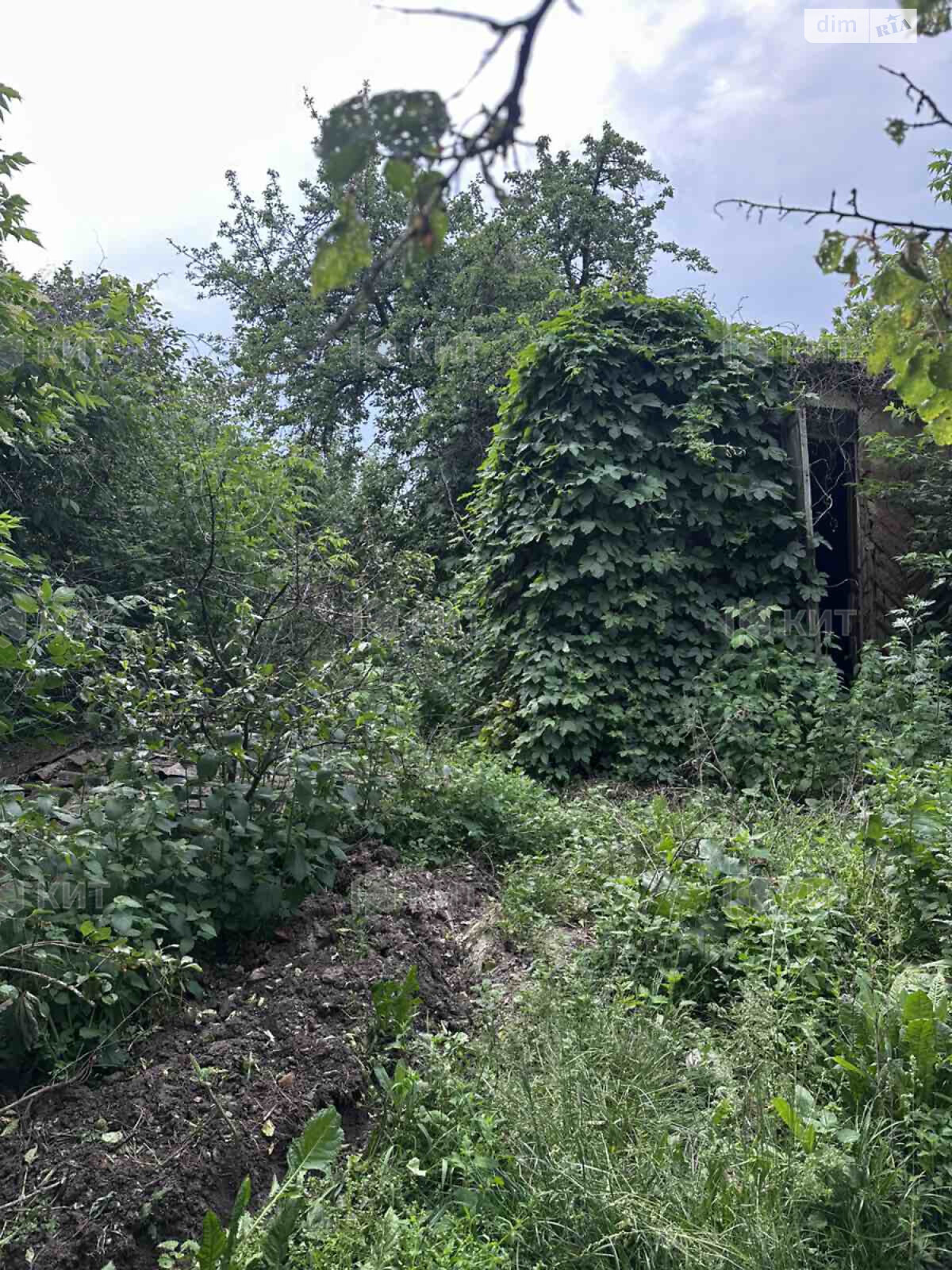 одноэтажный дом, 74 кв. м, кирпич. Продажа в Харькове район Поселок Жуковского фото 1 одноэтажный дом, 74 кв. м, кирпич. Продажа в Харькове район Поселок Жуковского фото 1