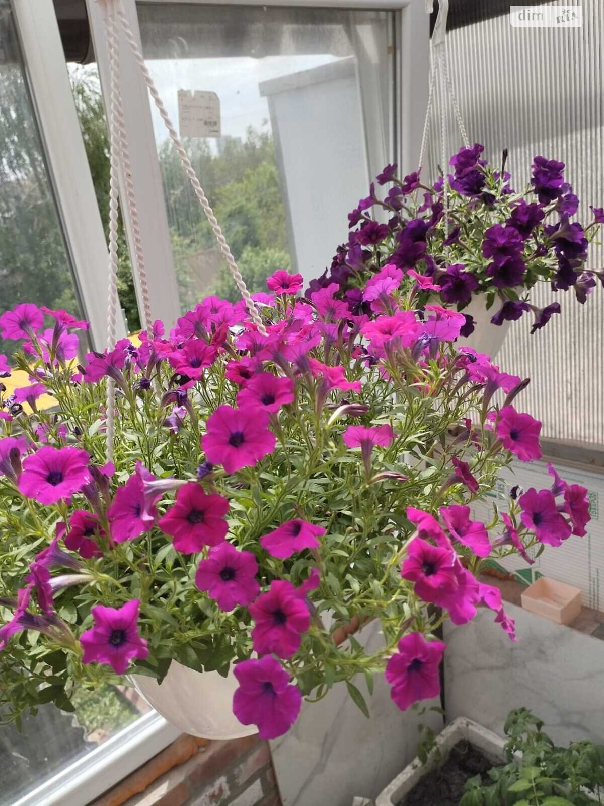 двухэтажный дом с гаражом, 217.6 кв. м, кирпич. Продажа в Харькове район Шевченковский фото 1 двухэтажный дом с гаражом, 217.6 кв. м, кирпич. Продажа в Харькове район Шевченковский фото 1