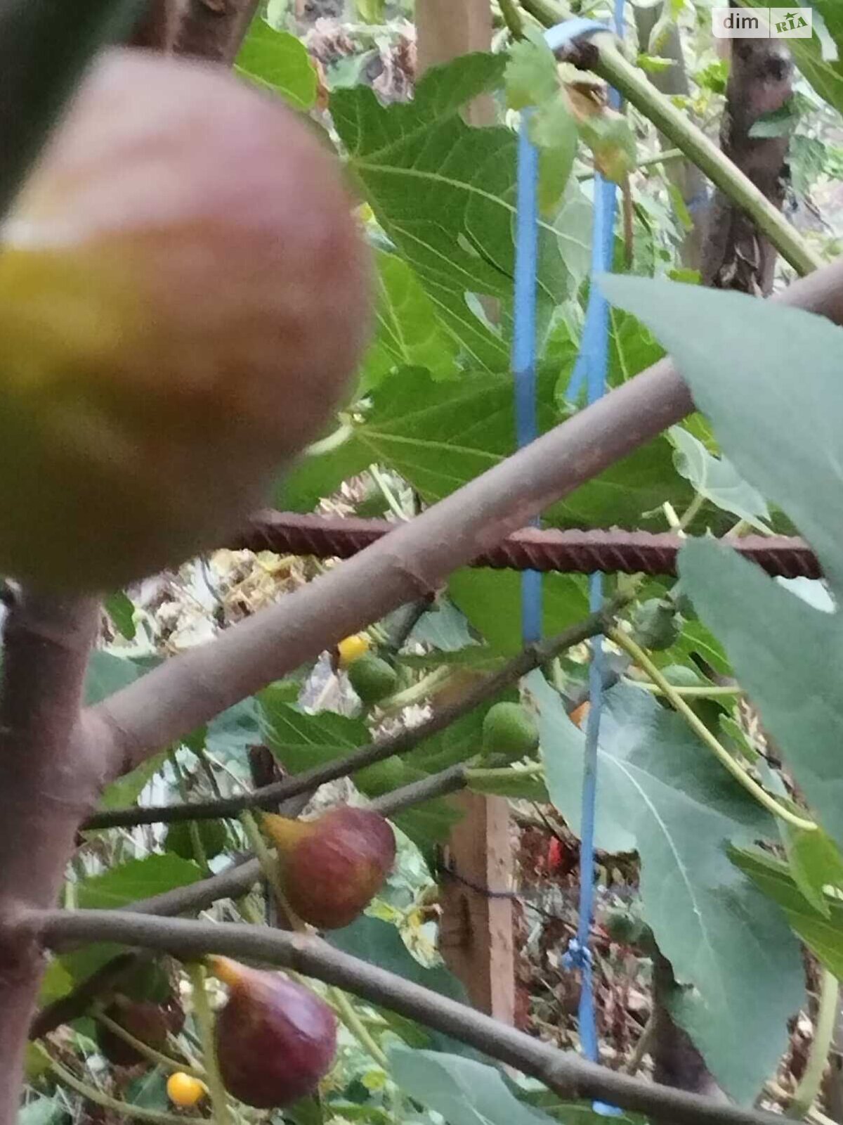 двухэтажный дом с гаражом, 217.6 кв. м, кирпич. Продажа в Харькове район Шевченковский фото 1 двухэтажный дом с гаражом, 217.6 кв. м, кирпич. Продажа в Харькове район Шевченковский фото 1