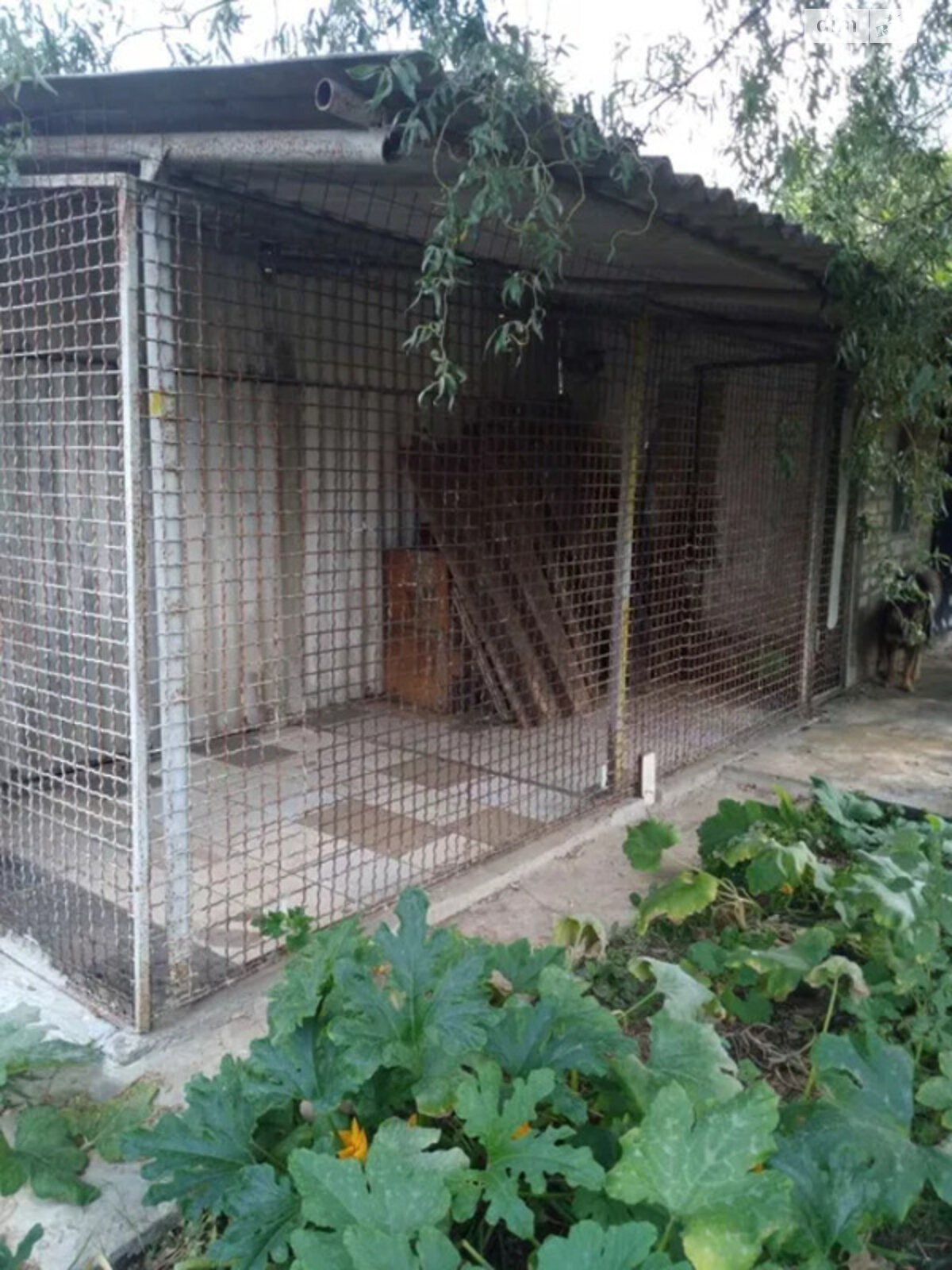 одноэтажный дом с верандой, 65 кв. м, кирпич. Продажа в Харькове фото 1 одноэтажный дом с верандой, 65 кв. м, кирпич. Продажа в Харькове фото 1