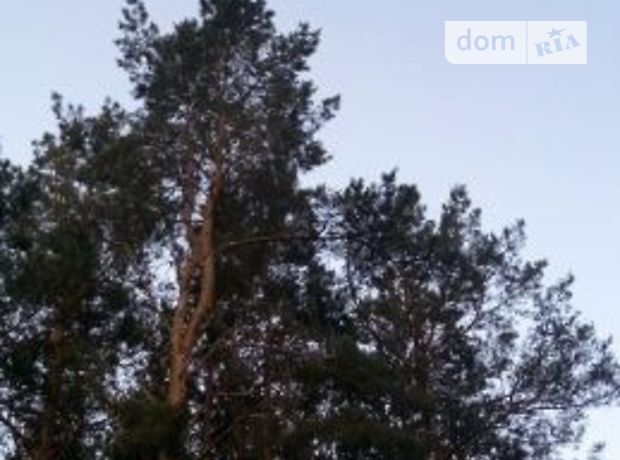 одноэтажный дом с садом, 119 кв. м, кирпич. Продажа в Циркунах (Харьковская обл.) фото 1 одноэтажный дом с садом, 119 кв. м, кирпич. Продажа в Циркунах (Харьковская обл.) фото 1
