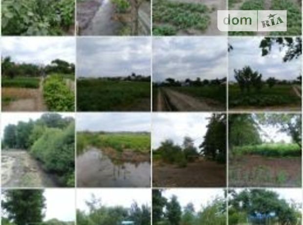 одноэтажный дом с садом, 96 кв. м, кирпич. Продажа в Васищево (Харьковская обл.) фото 1 одноэтажный дом с садом, 96 кв. м, кирпич. Продажа в Васищево (Харьковская обл.) фото 1