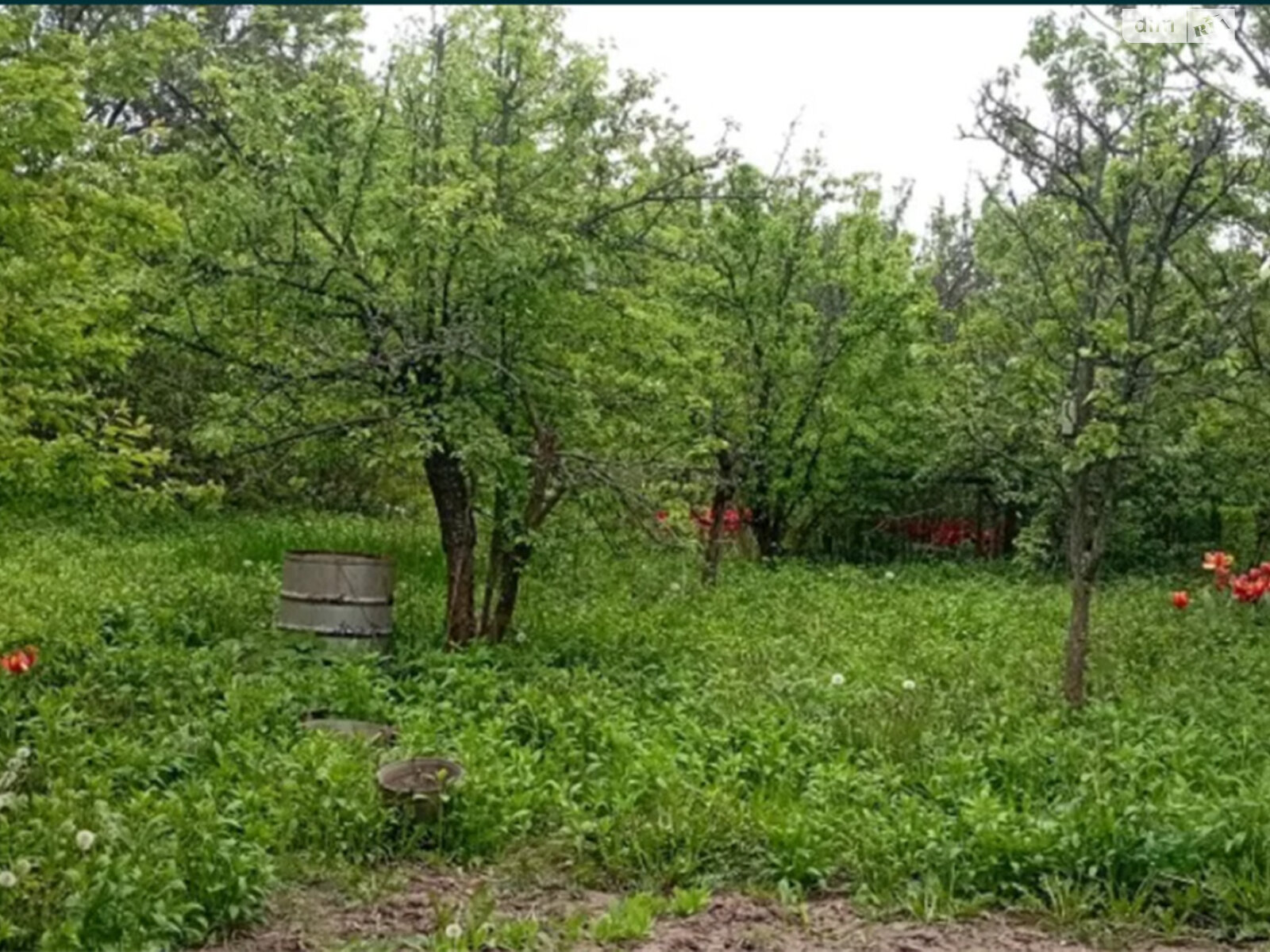 одноповерховий будинок з верандою, 115 кв. м, цегла. Продаж у Південному фото 1 одноповерховий будинок з верандою, 115 кв. м, цегла. Продаж у Південному фото 1