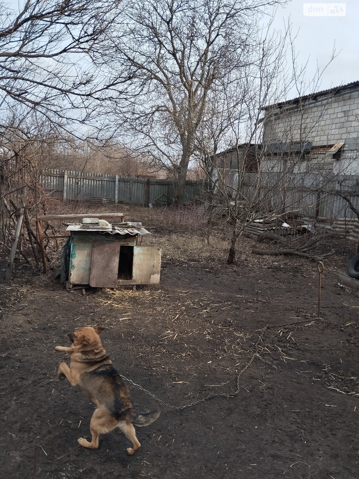 одноповерховий будинок з гаражем, 50.6 кв. м, дерево та цегла. Продаж у Благодатному фото 1 одноповерховий будинок з гаражем, 50.6 кв. м, дерево та цегла. Продаж у Благодатному фото 1