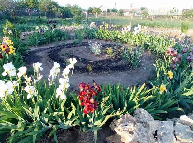 одноэтажный дом с камином, 60 кв. м, бутовый камень. Продажа в Комишанах фото 1 одноэтажный дом с камином, 60 кв. м, бутовый камень. Продажа в Комишанах фото 1