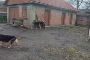 одноповерховий будинок з опаленням, 70 кв. м, цегла саманна. Продаж у Хижинцях фото 2
