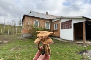 одноэтажный дом с верандой, 51.1 кв. м, кирпич. Продажа в Хижинцах фото 2