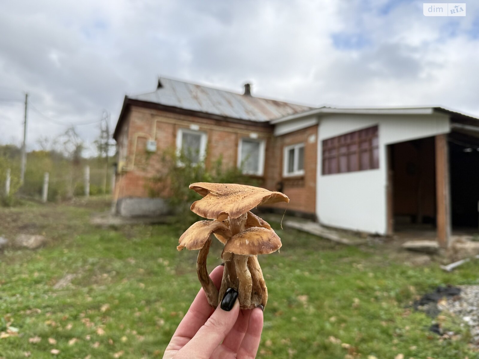 одноэтажный дом с верандой, 51.1 кв. м, кирпич. Продажа в Хижинцах фото 1