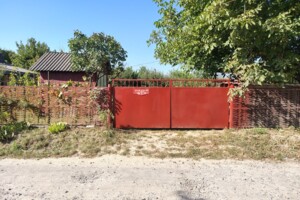 двоповерховий будинок з опаленням, 45 кв. м, цегла. Продаж у Хижинцях фото 2