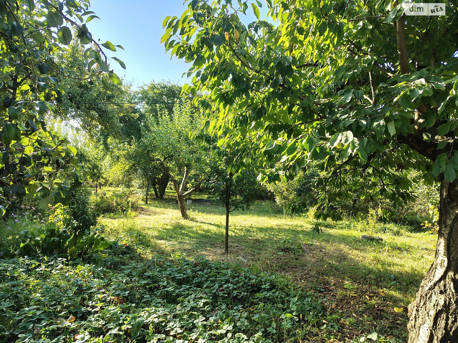 двоповерховий будинок з опаленням, 45 кв. м, цегла. Продаж у Хижинцях фото 1