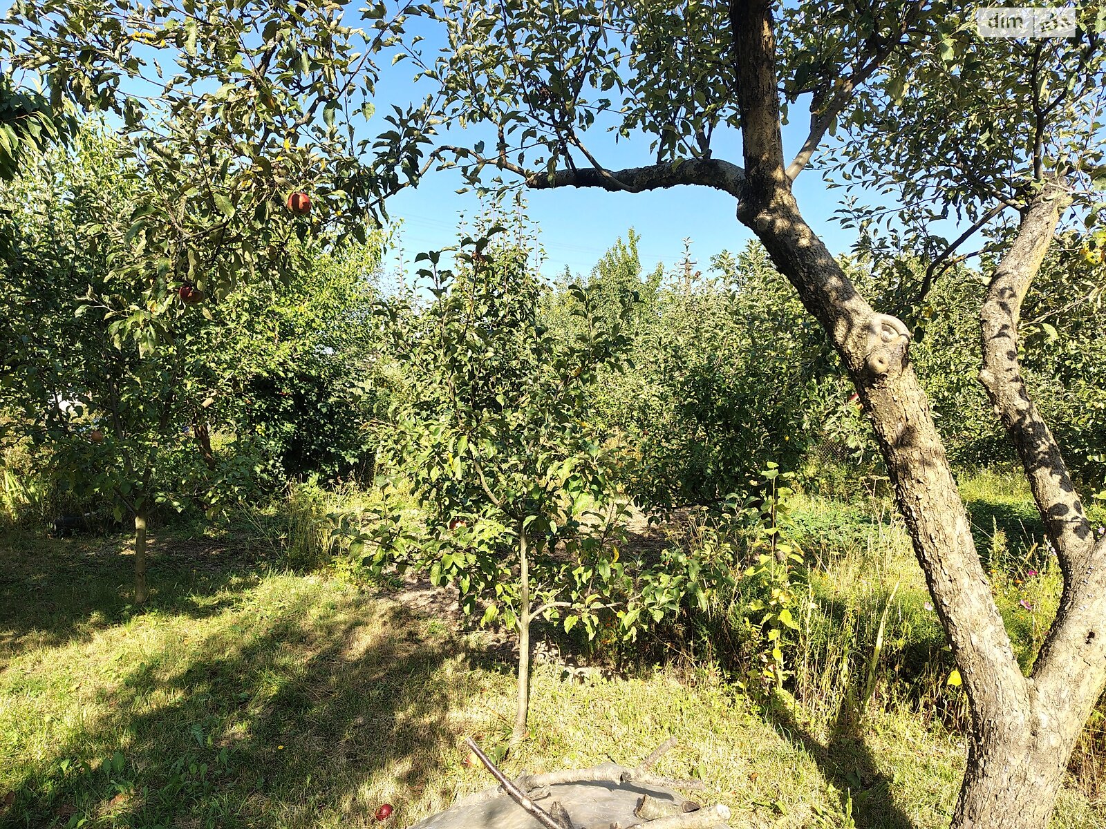 двоповерховий будинок з опаленням, 45 кв. м, цегла. Продаж у Хижинцях фото 1