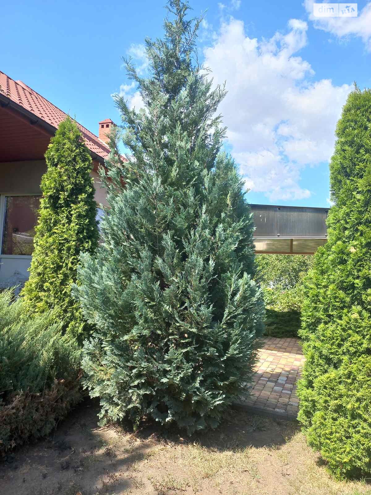 одноэтажный дом с верандой, 91.9 кв. м, ракушечник (ракушняк). Продажа в Хлебодарском фото 1