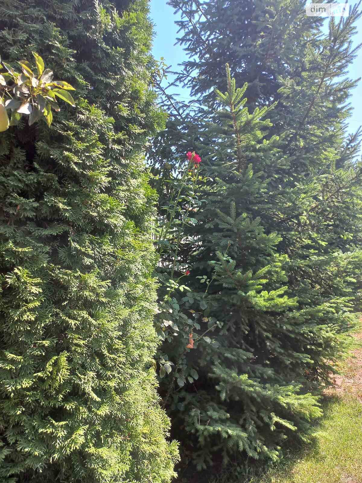 одноэтажный дом с верандой, 91.9 кв. м, ракушечник (ракушняк). Продажа в Хлебодарском фото 1