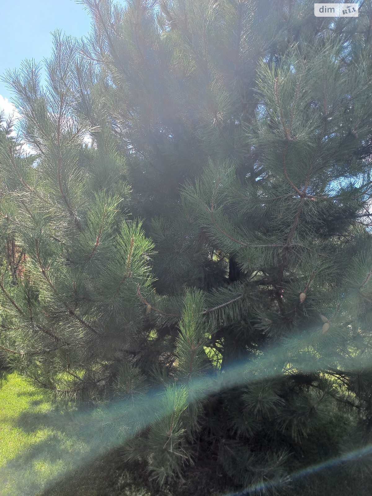 одноэтажный дом с верандой, 91.9 кв. м, ракушечник (ракушняк). Продажа в Хлебодарском фото 1