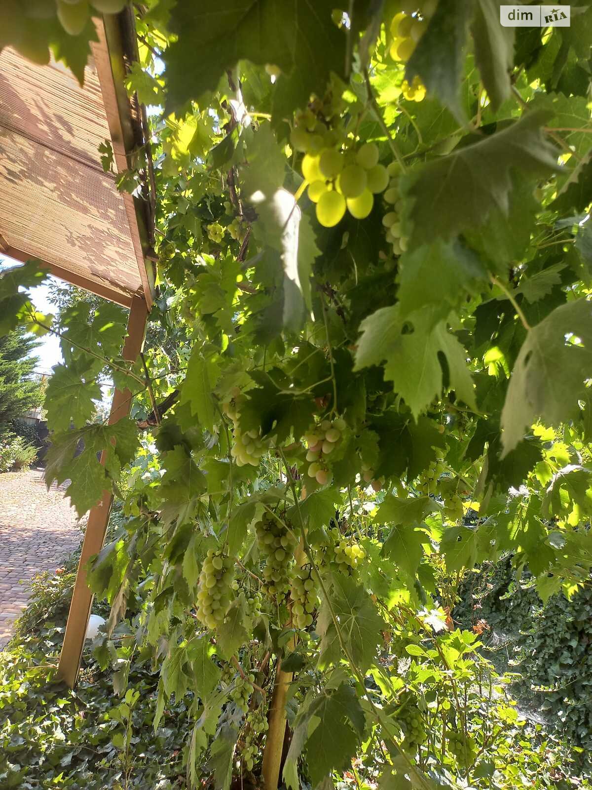 одноэтажный дом с верандой, 91.9 кв. м, ракушечник (ракушняк). Продажа в Хлебодарском фото 1