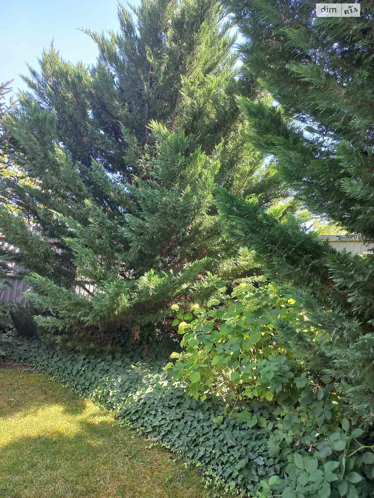 одноэтажный дом с верандой, 91.9 кв. м, ракушечник (ракушняк). Продажа в Хлебодарском фото 1