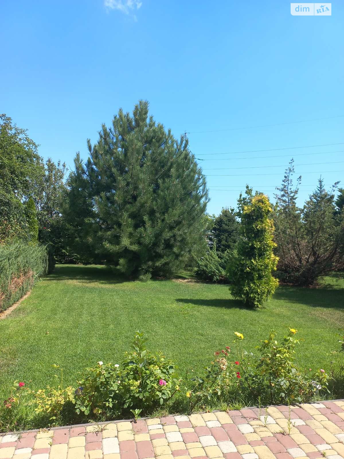 одноэтажный дом с верандой, 91.9 кв. м, ракушечник (ракушняк). Продажа в Хлебодарском фото 1